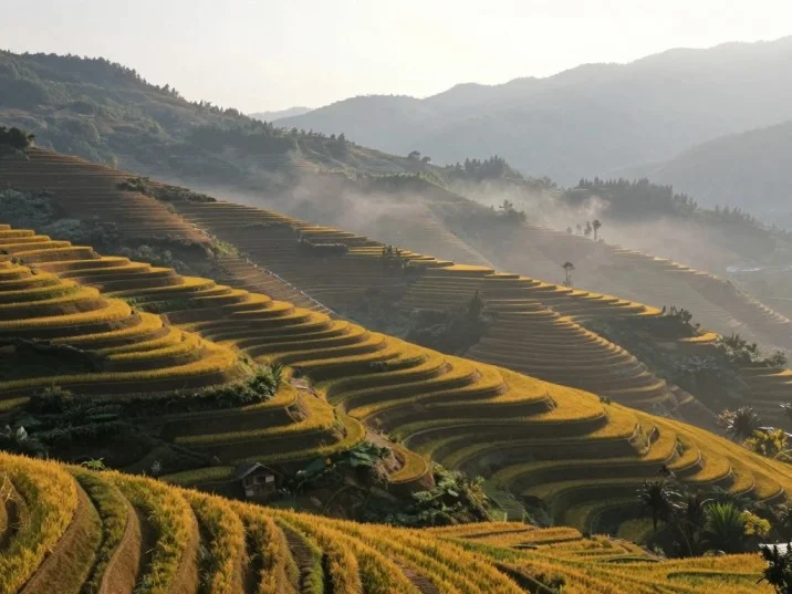Best Time to Visit Vietnam