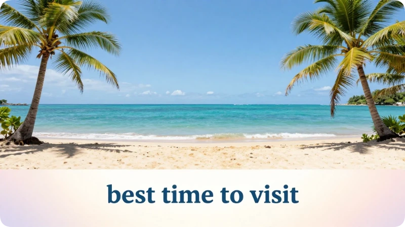 Best Time to Visit Jamaica Overall