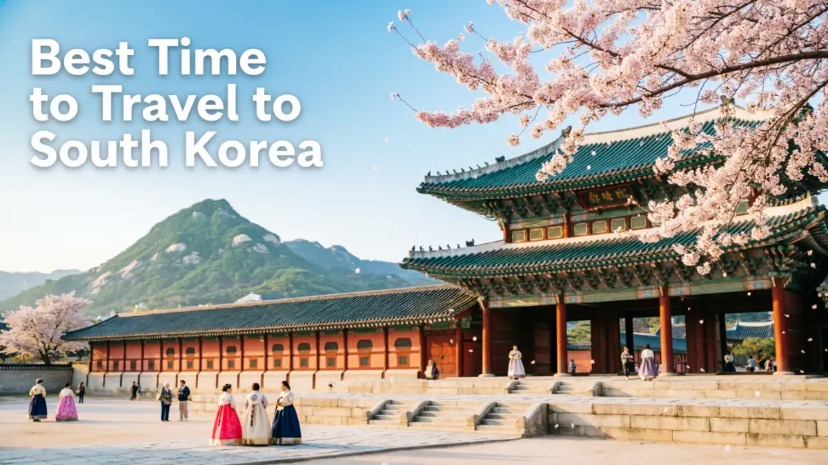 November Scenery Raining Best Time to Visit South Korea: Weather, Seasons & Travel Tips